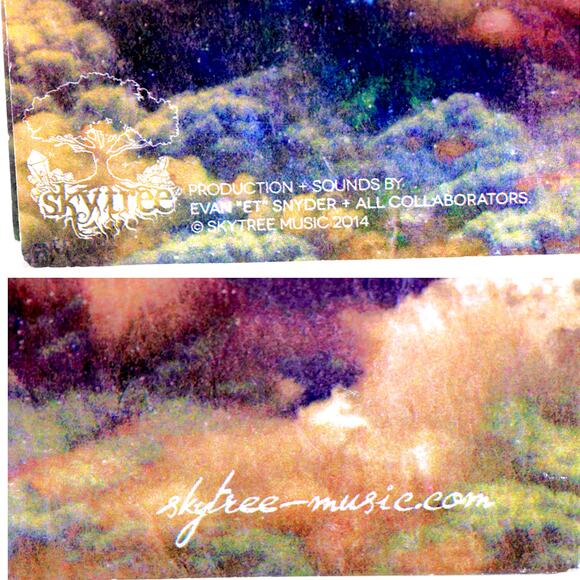 Skytree - Cirrus Sapiens Autographed Signed CD w/ Custom Art - Picture 3 of 11